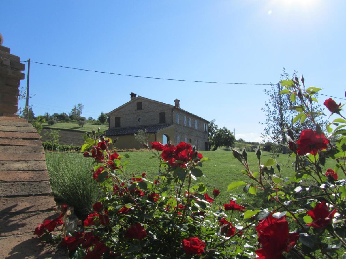 Agriturismo La Vecchia Fonte Castelbellino Exterior photo